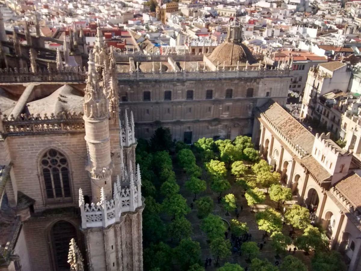 Centrico Plaza Del Salvador Seville